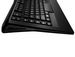 newegg