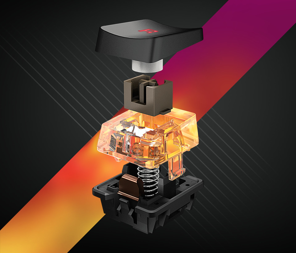 Titan switch