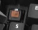 newegg