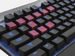 newegg