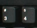 newegg