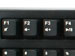 newegg