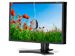 newegg