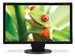 newegg