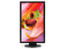 newegg