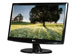 newegg