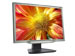 newegg