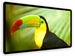 newegg