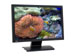 newegg