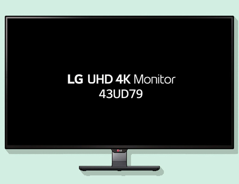 Distrahere rapport svinekød LG 43UD79-B 42.5" 4K UHD LED IPS Monitor, 3840 x 2160 - Newegg.com