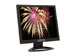 newegg
