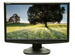 newegg