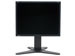 newegg