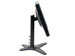newegg