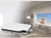 newegg