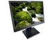 newegg