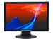 newegg