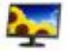 newegg