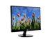 newegg