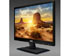 newegg