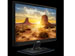 newegg