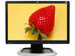 newegg