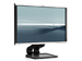 newegg
