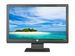 newegg