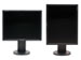 newegg