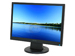 newegg