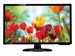 newegg