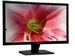 newegg
