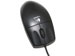 newegg