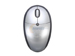 newegg