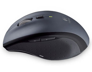 Logitech Mouse