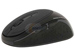 newegg