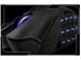 newegg