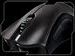 newegg