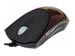 newegg