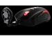 newegg