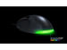 newegg