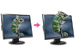 newegg