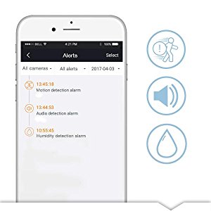Foscam FI9928P