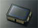 newegg