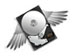 newegg