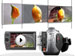 newegg