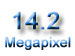 newegg
