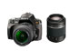 newegg