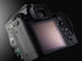 newegg