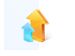 newegg